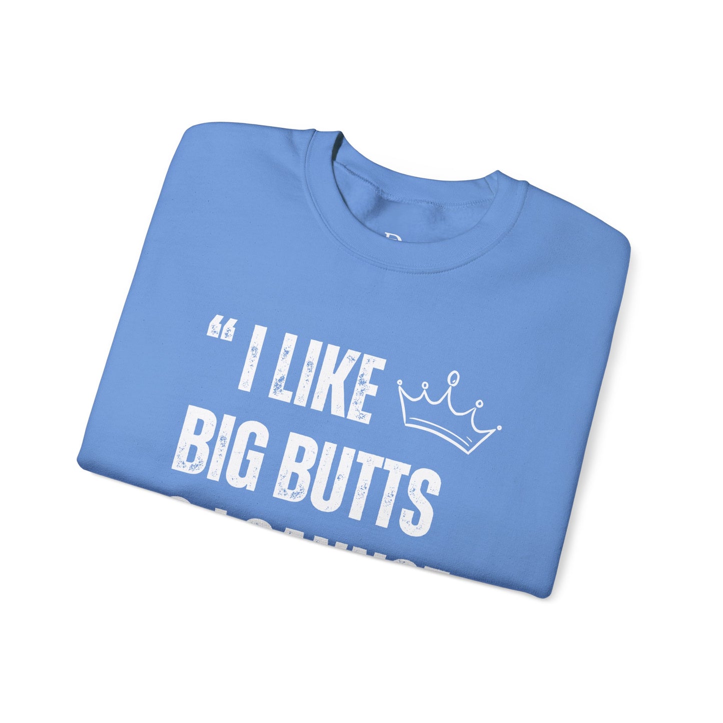I Like Big Butts & I Cannot Lie'